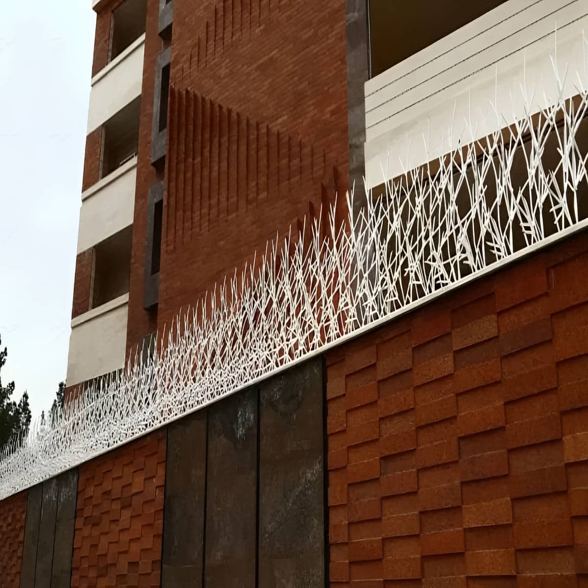 حفاظ شاخ گوزنی در محله یوسف آباد