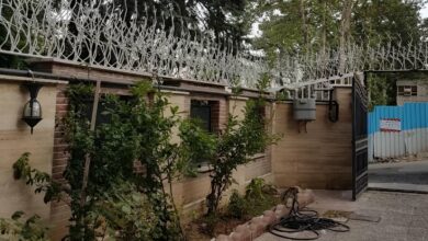 حفاظ شاخ گوزنی طرح اف فلزی با شاخه های منظم