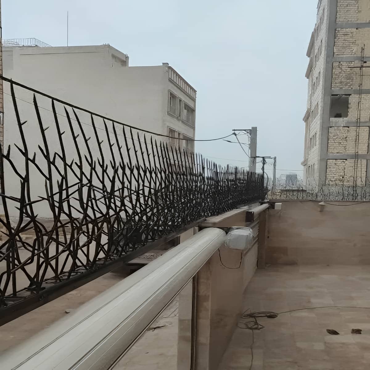 مزایای حفاظ شاخ گوزنی