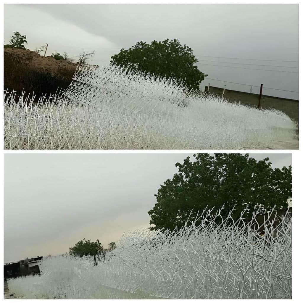 مشخصات حفاظ شاخ گوزنی