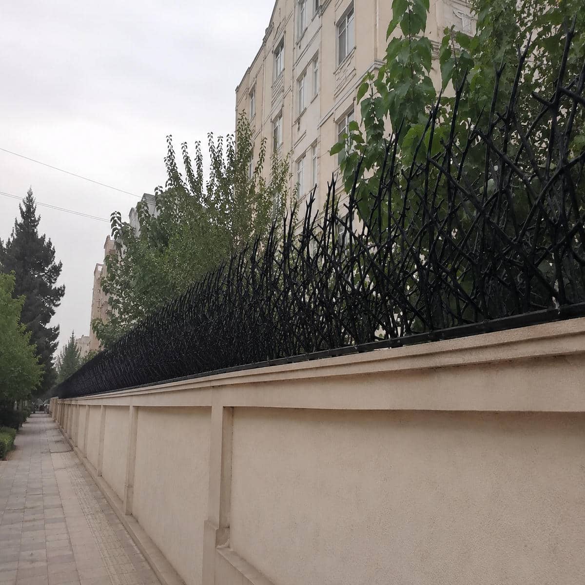 حفاظ شاخ گوزنی در محله شهرآرا