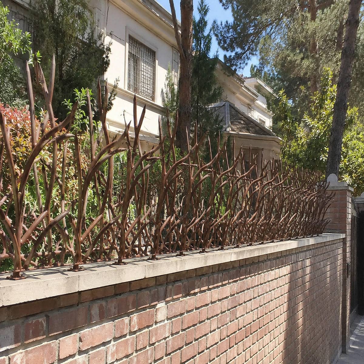 حفاظ شاخ گوزنی در اهواز