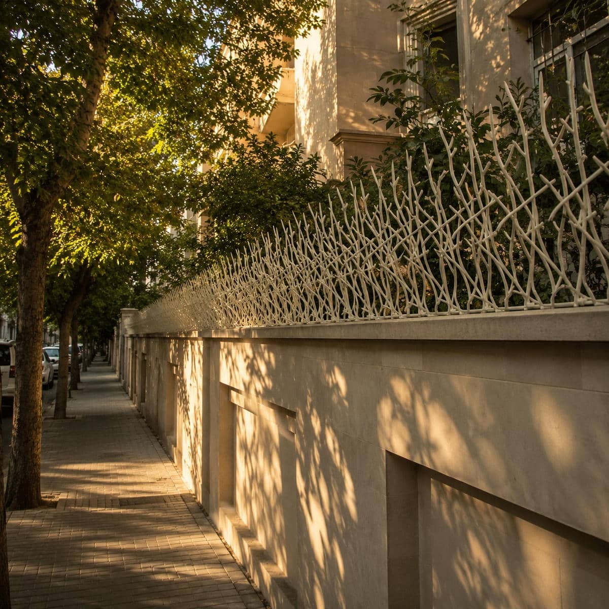 حفاظ شاخ گوزنی در رفسنجان