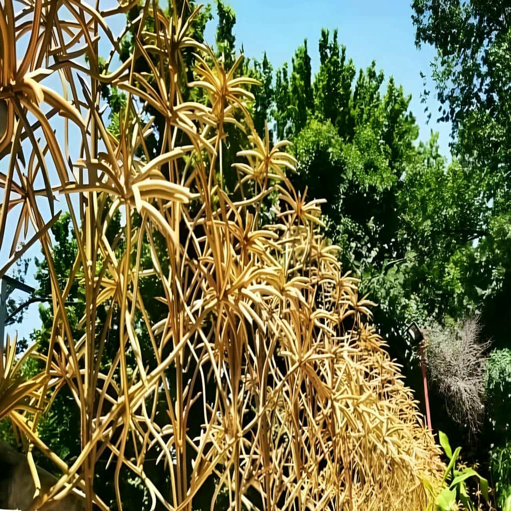 حفظ ظاهر عادی منزل در ایام عید نوروز