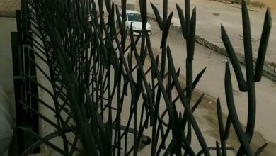 حفاظ دیوار اراک با مدل شاخ گوزنی فلزی